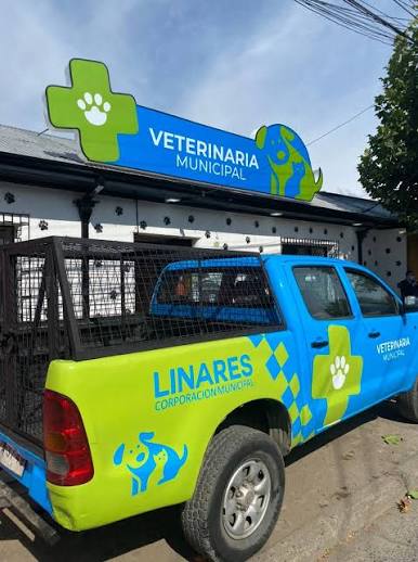 Veterinaria de urgencia